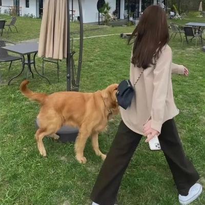 测谎游戏